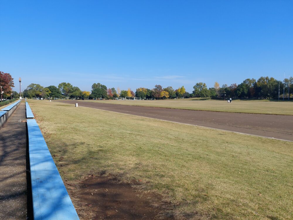 川島平成の森公園の多目的広場