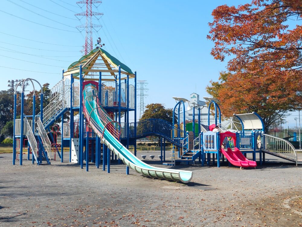 川島平成の森公園の複合遊具