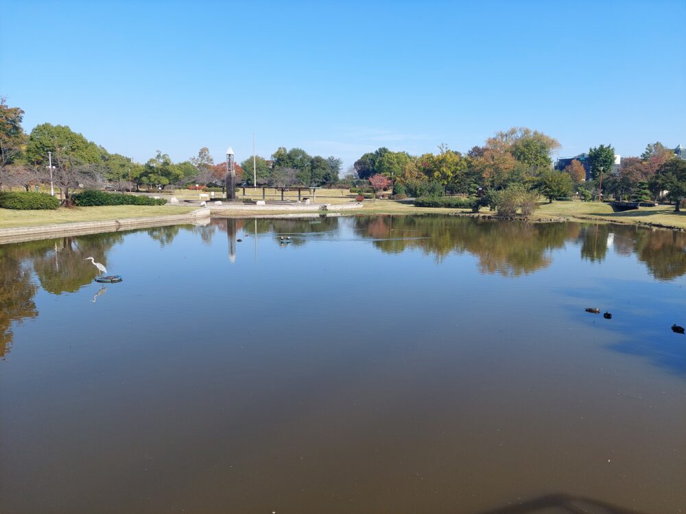 川島平成の森公園の修景池