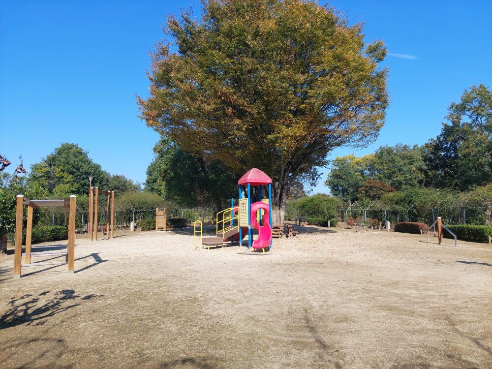 川島平成の森公園のアスレチック広場