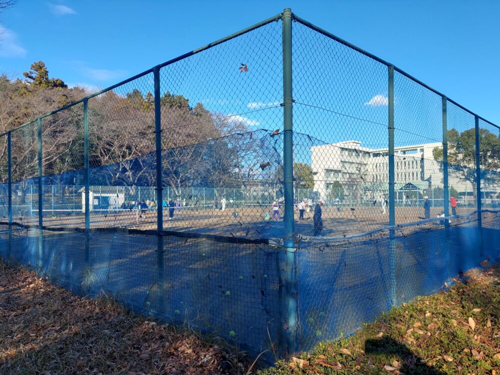 上尾平塚公園のテニスコート