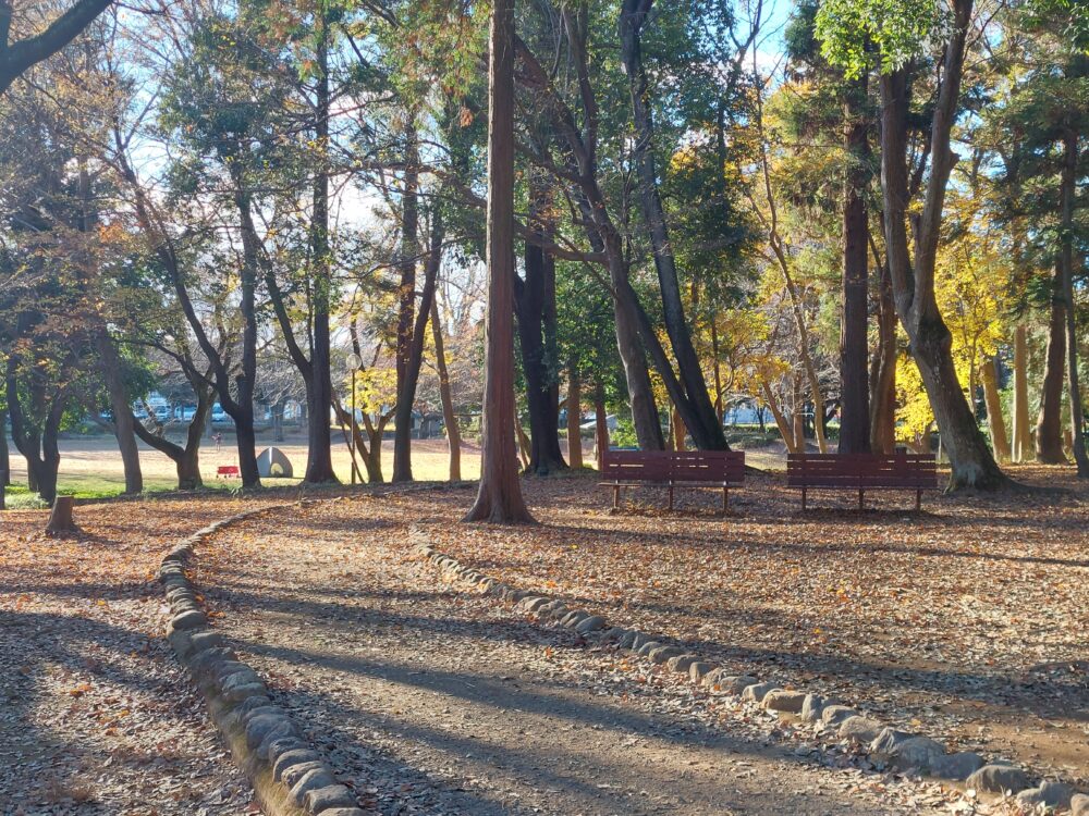 上尾平塚公園の林の景色