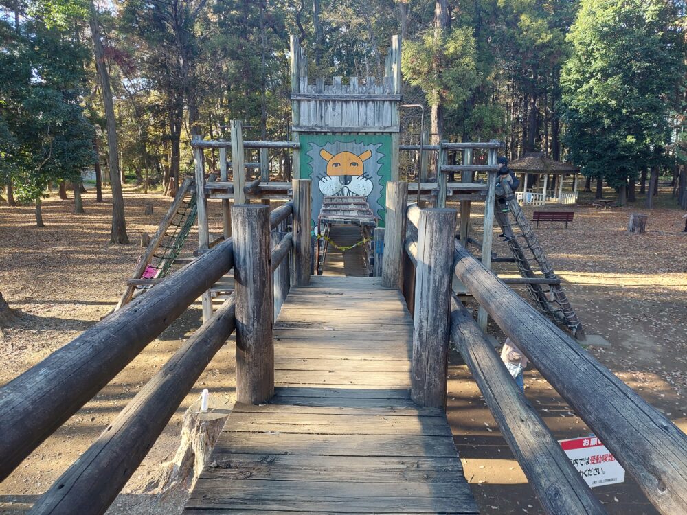 上尾平塚公園のフィールドアスレチック遊具の上の部分