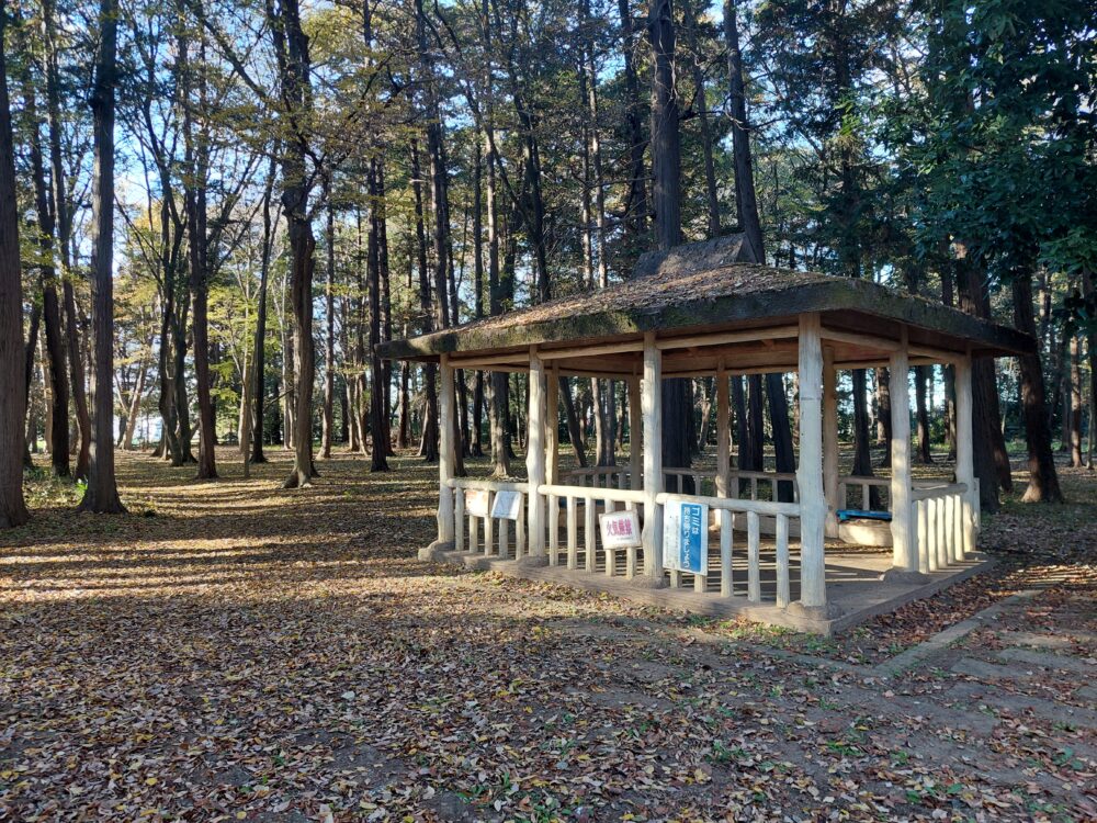 上尾平塚公園の林と東屋