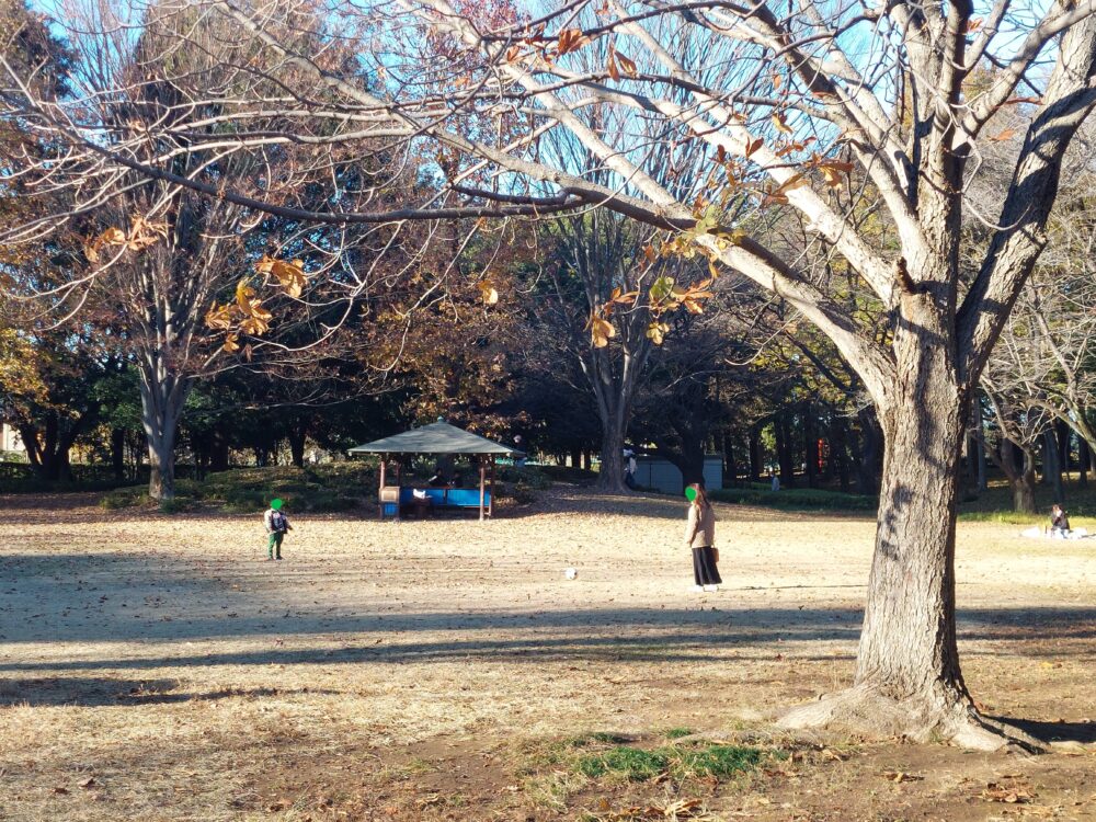 上尾平塚公園のいこいの広場（多目的広場）でサッカーをする親子