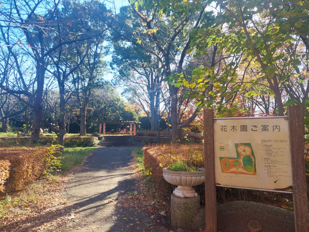 みさと公園の花木園