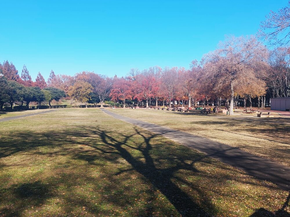 みさと公園のバーベキュー広場