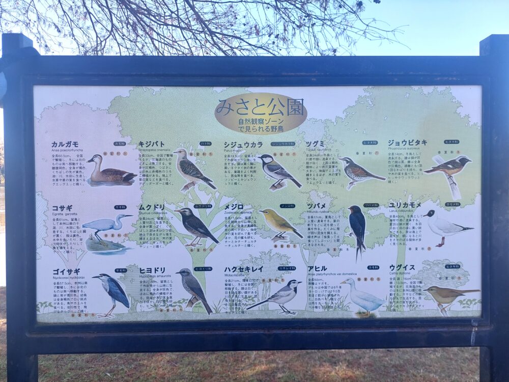 みさと公園で見れる野鳥たちの看板