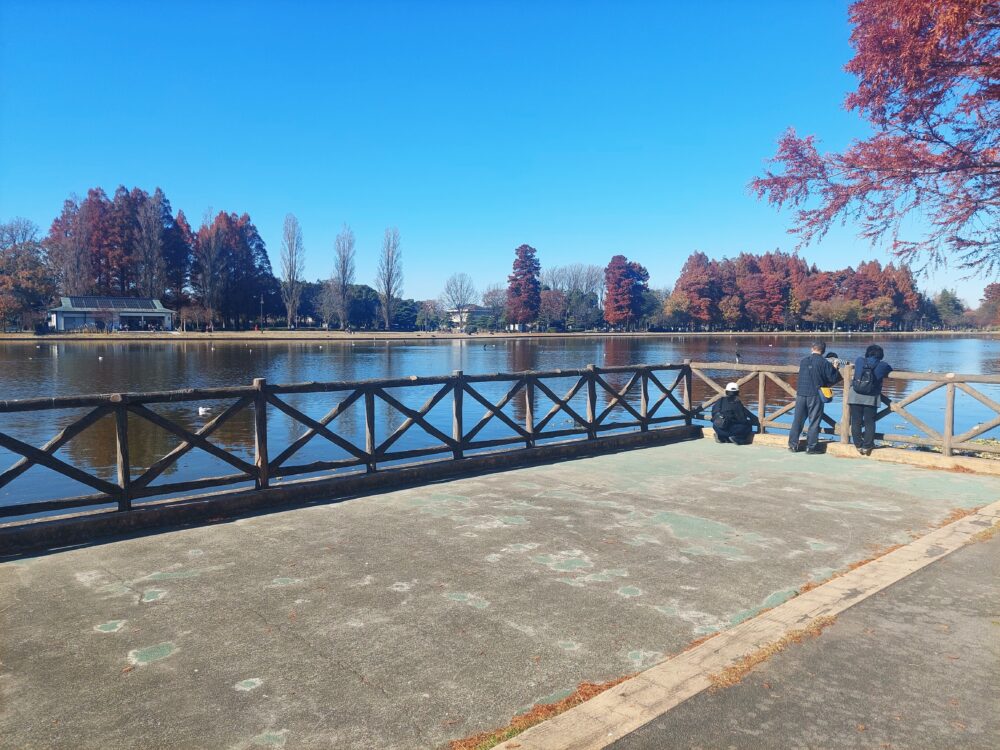 みさと公園の水上テラス