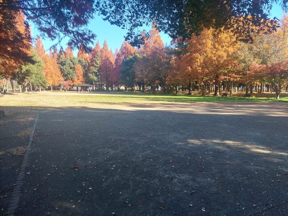 みさと公園の北端にある多目的広場