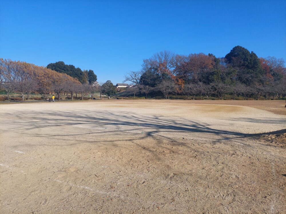 晩秋・初冬の内牧公園・多目的広場