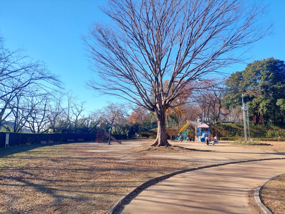 内牧公園のピクニック広場