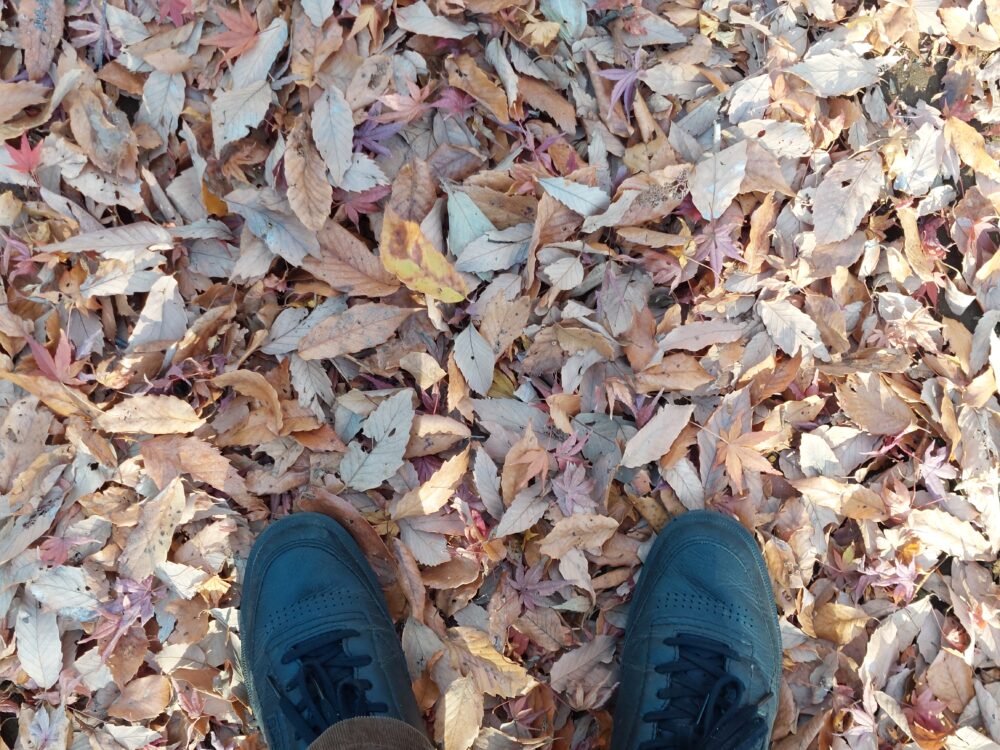 晩秋・初冬の内牧公園・アスレチックの落ち葉と足