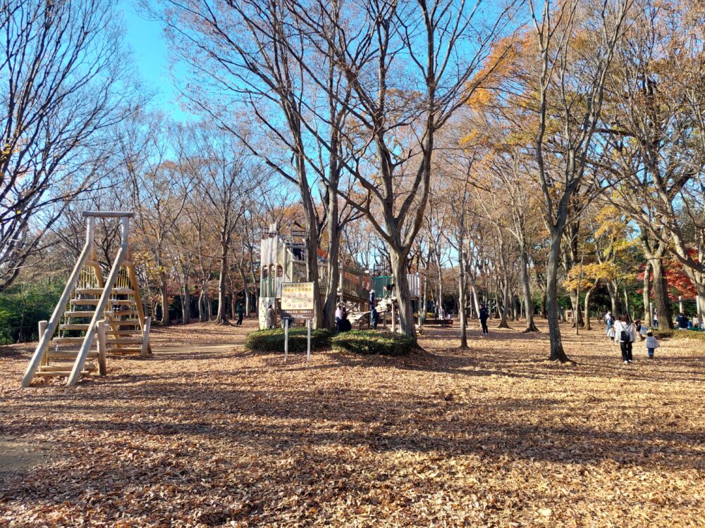 晩秋・初冬の内牧公園・アスレチック広場の風景