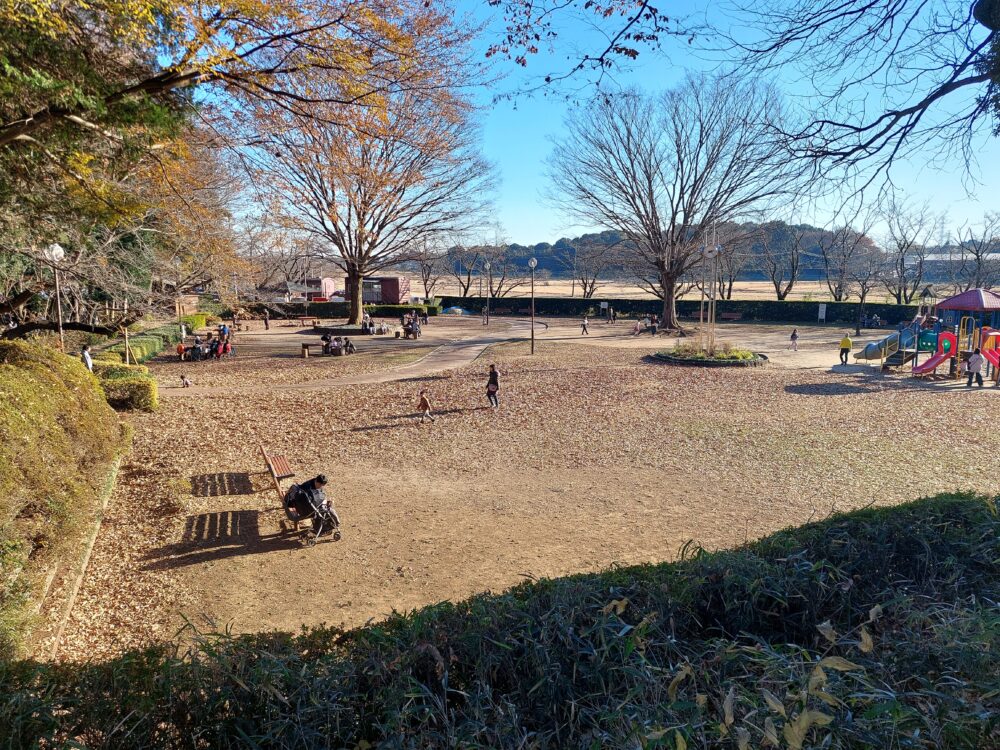 内牧公園のアスレチック広場から見るピクニック広場全景