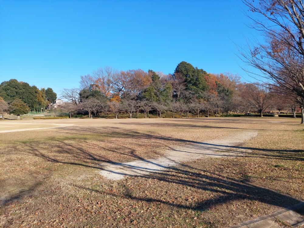 晩秋・初冬の内牧公園・多目的広場