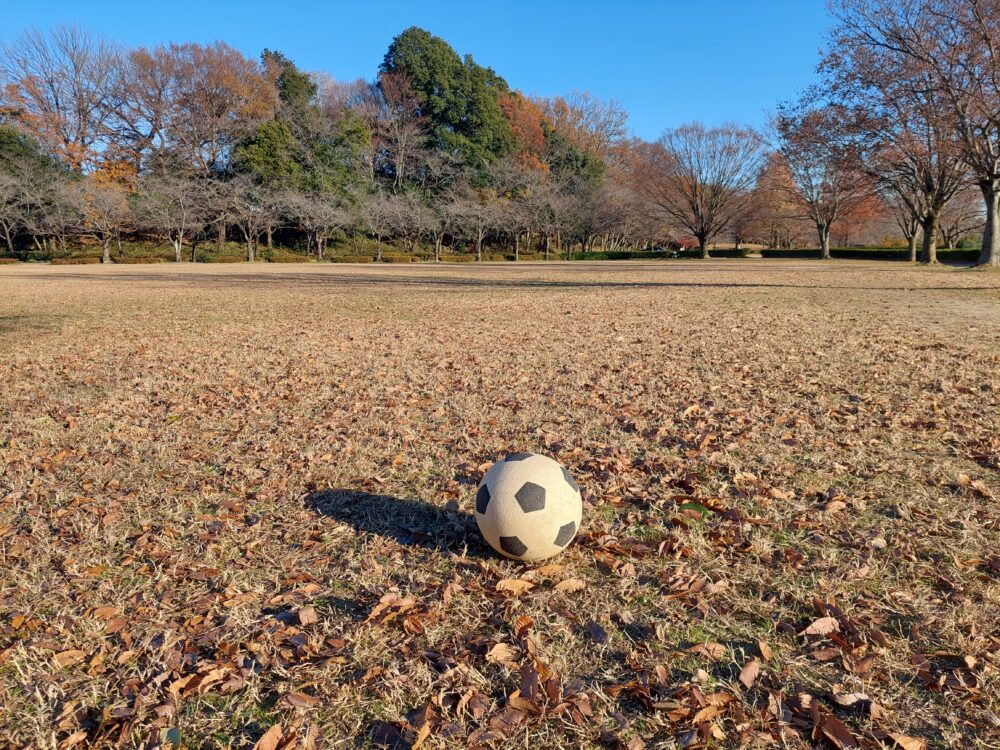 内牧公園の多目的広場とサッカーボール