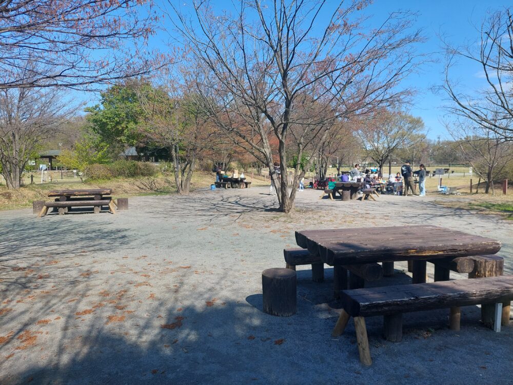 所沢カルチャーパークのデイキャンプ場