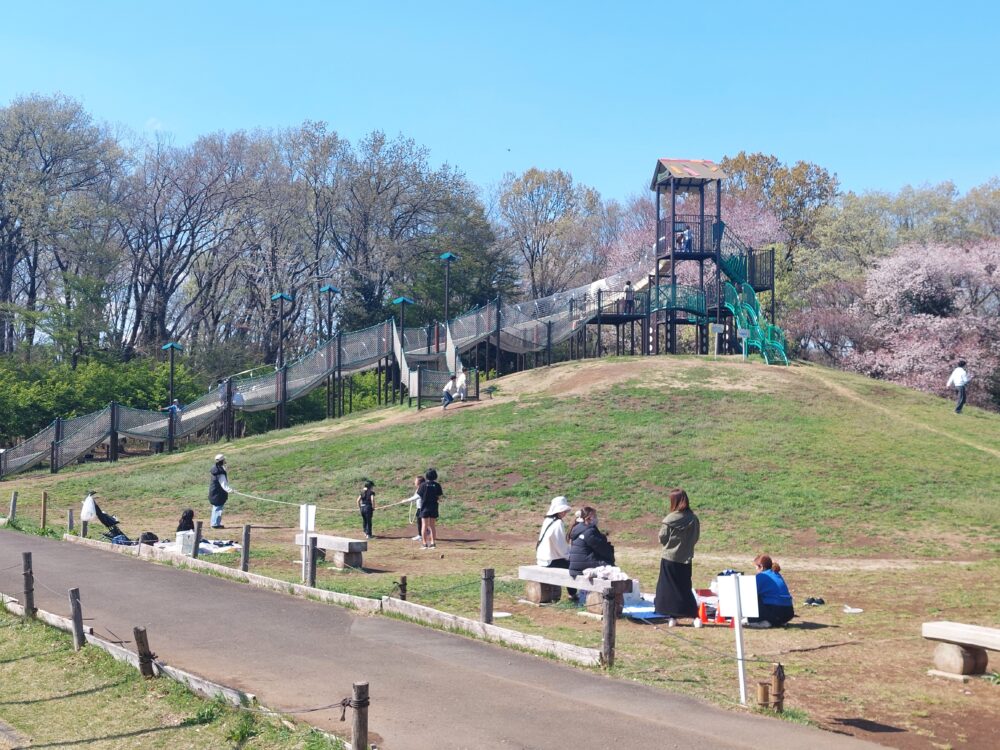 所沢カルチャーパークの複合遊具