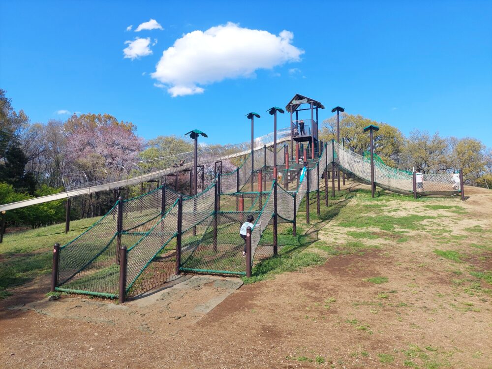 所沢カルチャーパークの複合遊具