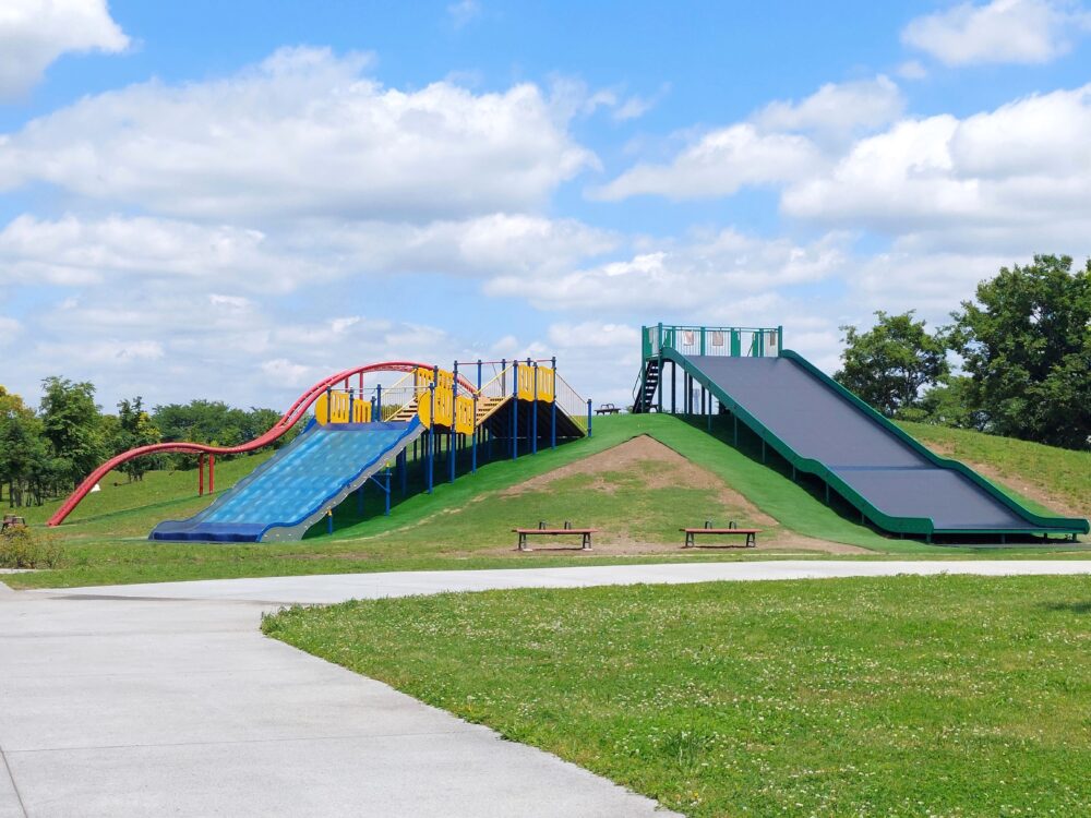 権現堂2号公園（ハッピー公園）の巨大遊具