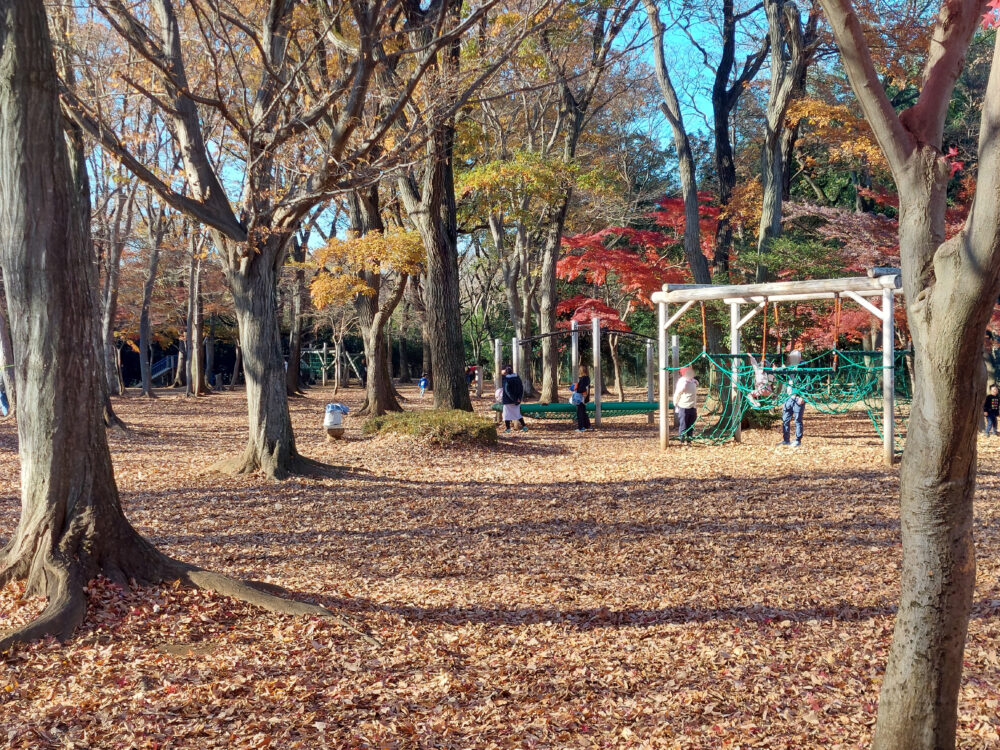 晩秋・初冬の内牧公園・アスレチック広場の風景