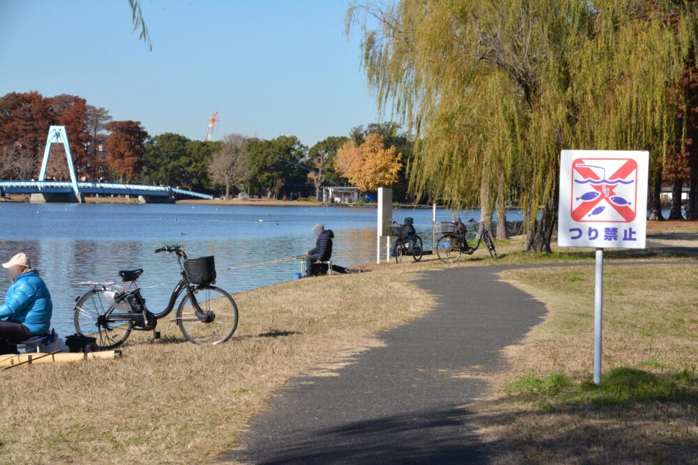 みさと公園の水辺で釣りをする人たち