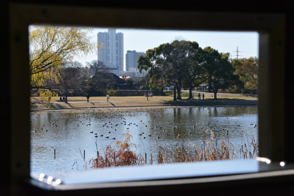 みさと公園・野鳥第三観察台から眺めた水辺の風景