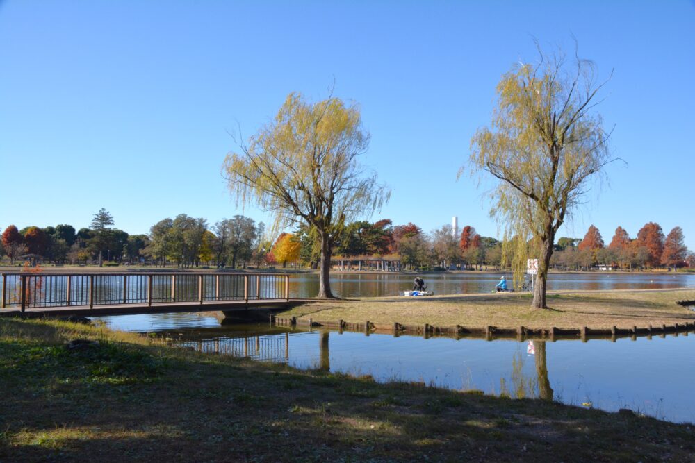 みさと公園の水辺の風景