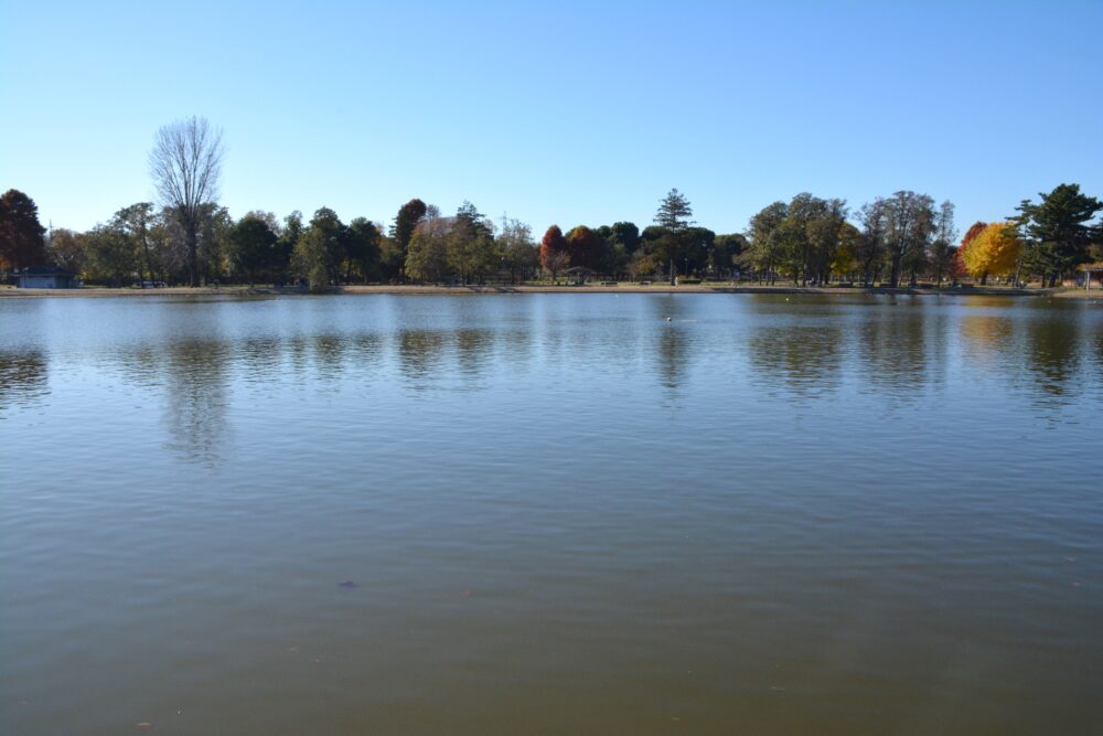 みさと公園から見た小合溜井と水元公園