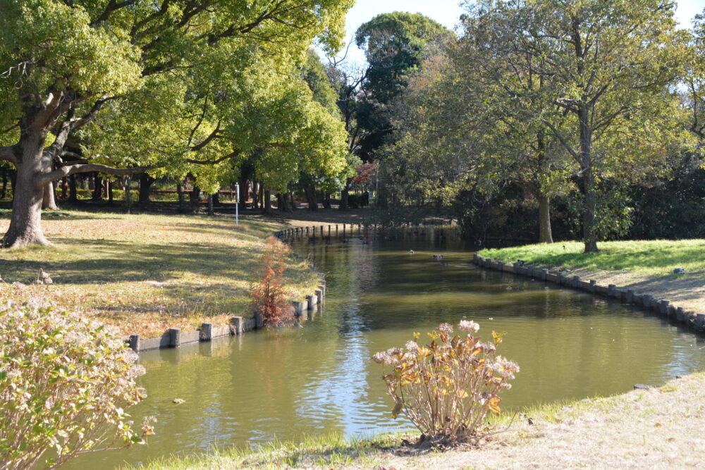 みさと公園の水路