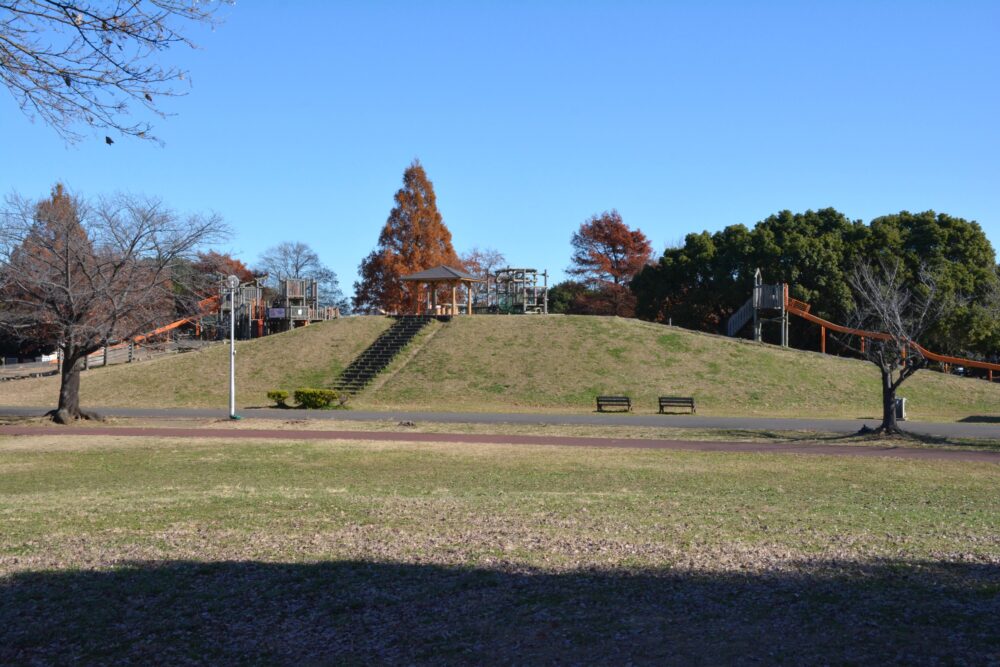 みさと公園・冒険トリデのフィールドアスレチック遊具を遠目から