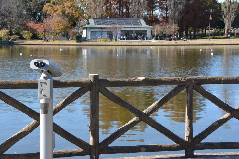 みさと公園の水上テラスの望遠鏡と対岸の水元公園でくつろぐ人々