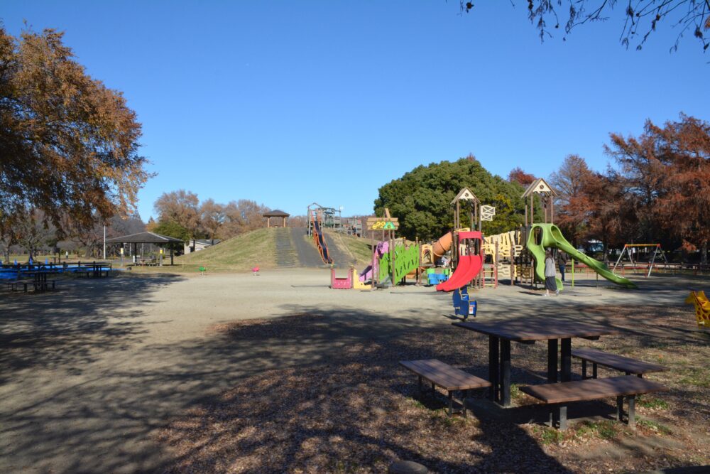 みさと公園の冒険トリデの景色