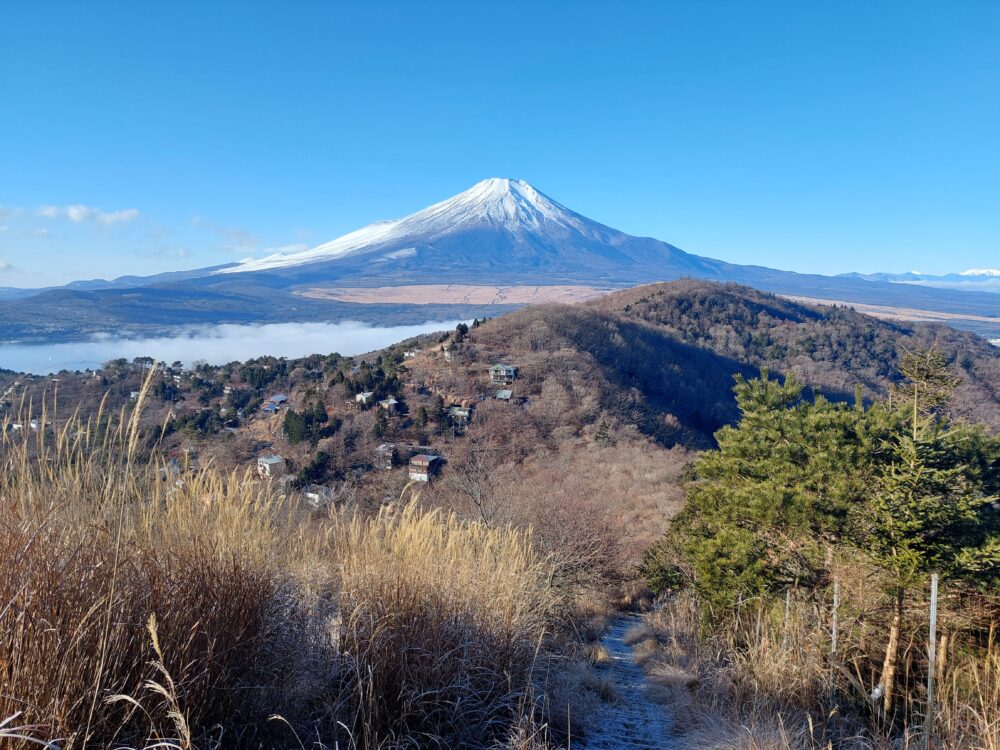 平尾山から大平山に向かう登山道から見た富士山