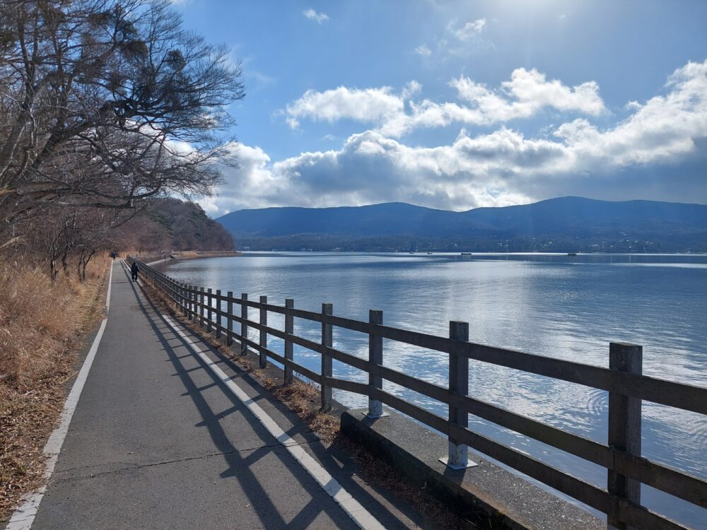 山中湖湖畔のサイクリングロード