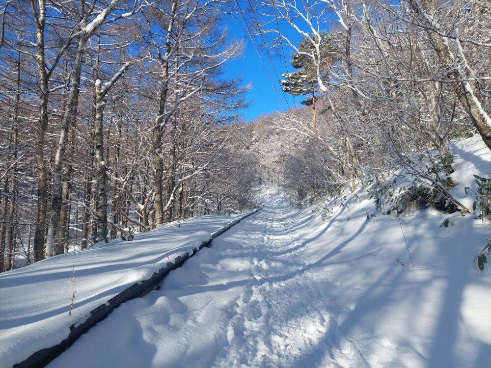 雪の湯ノ丸山の登山道