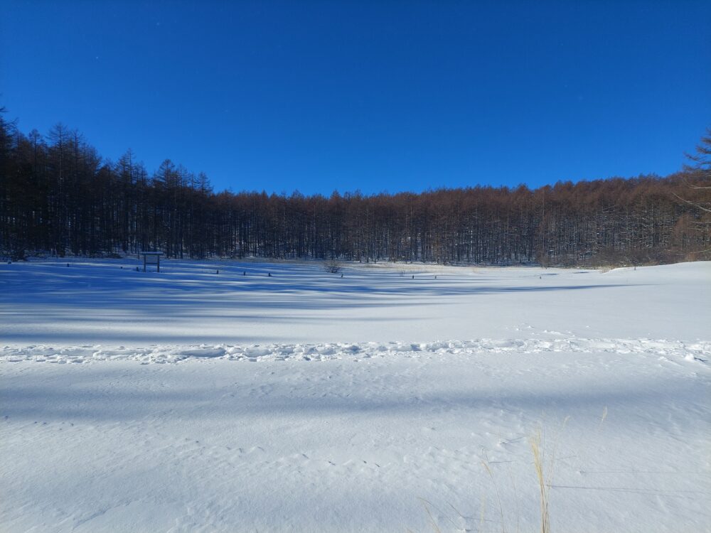 冬は雪原と化した臼窪湿原