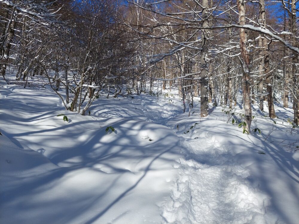 雪の湯ノ丸山の登山道