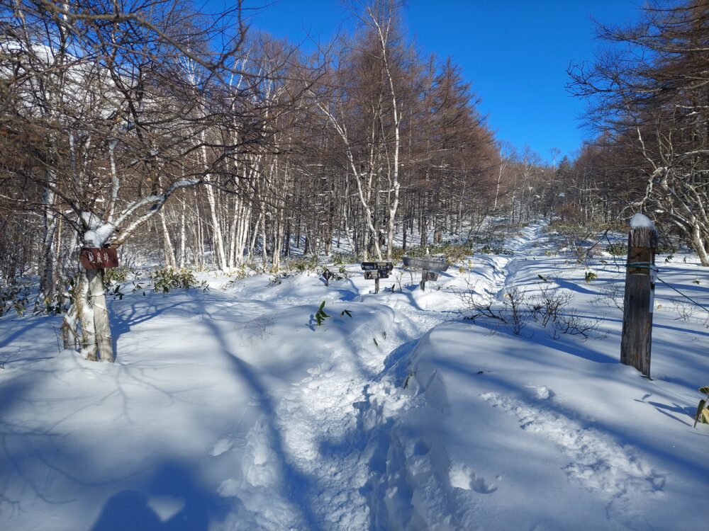 雪の湯の丸高原の中分岐