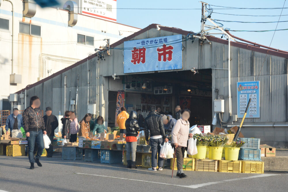 一色さかな市場の朝一