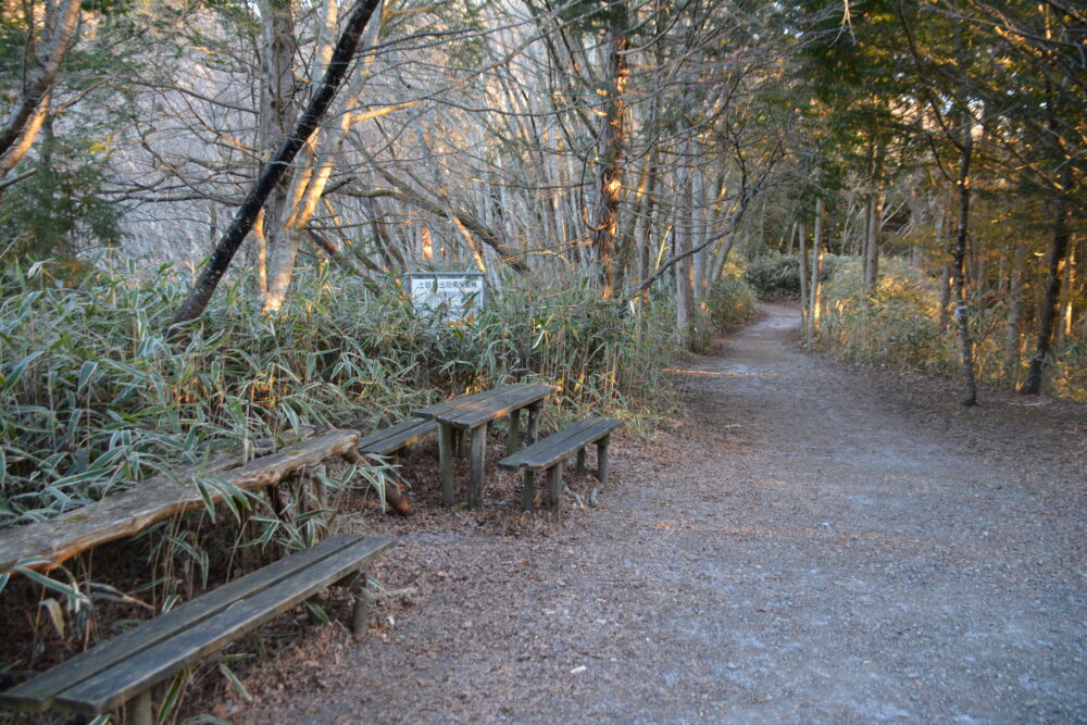 石割山の登山道