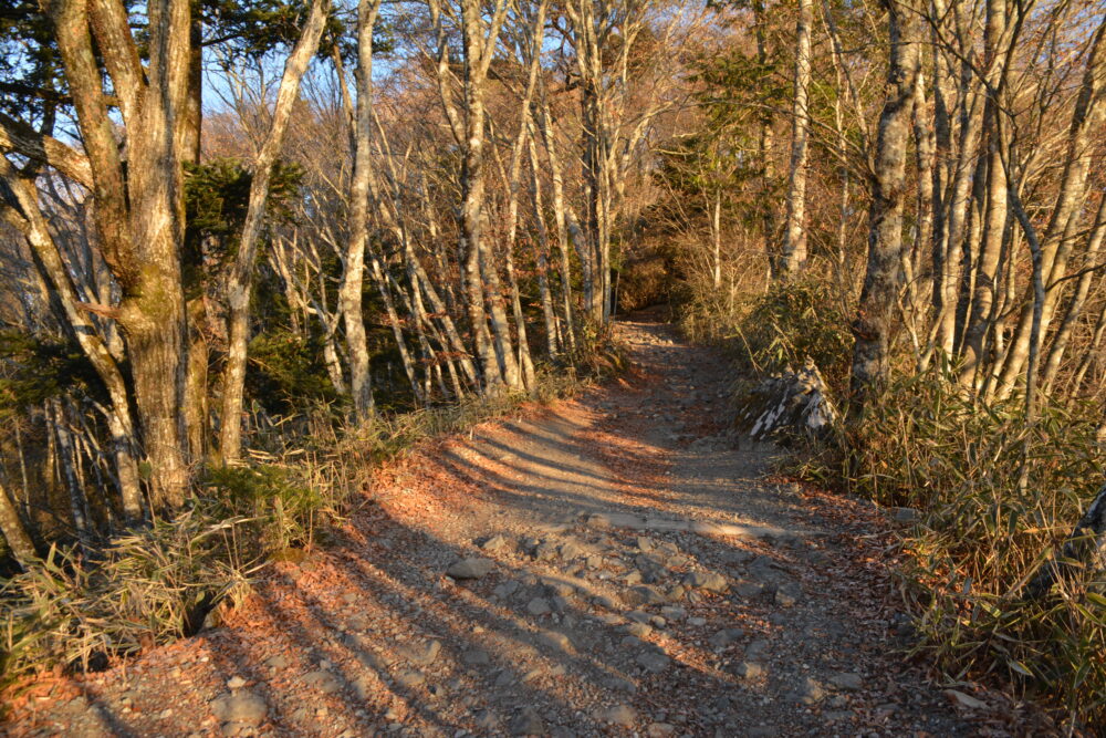 朝日に照らされる石割山の登山道