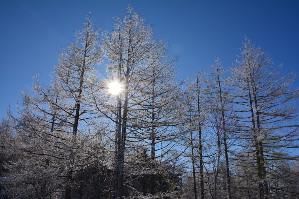 湯ノ丸山の青空と霧氷と太陽