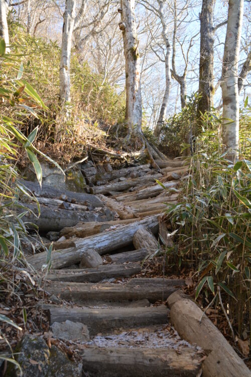 石割山の登山道