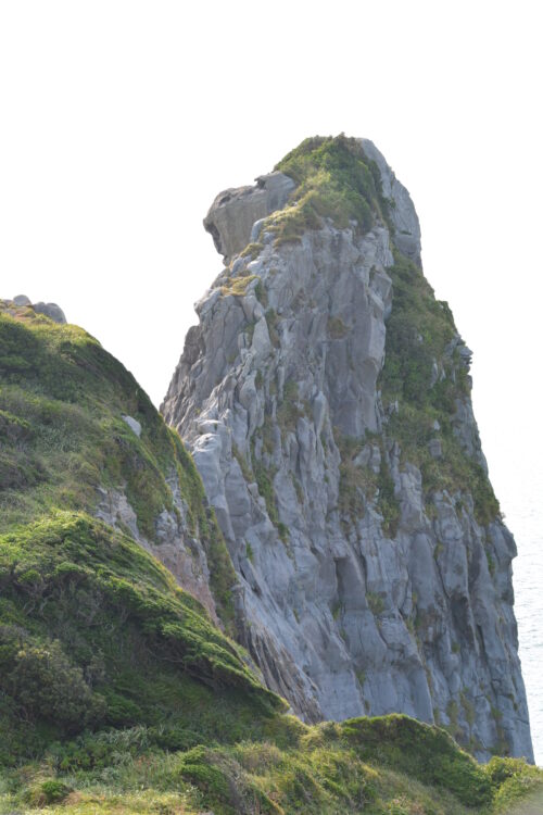 壱岐島の猿岩