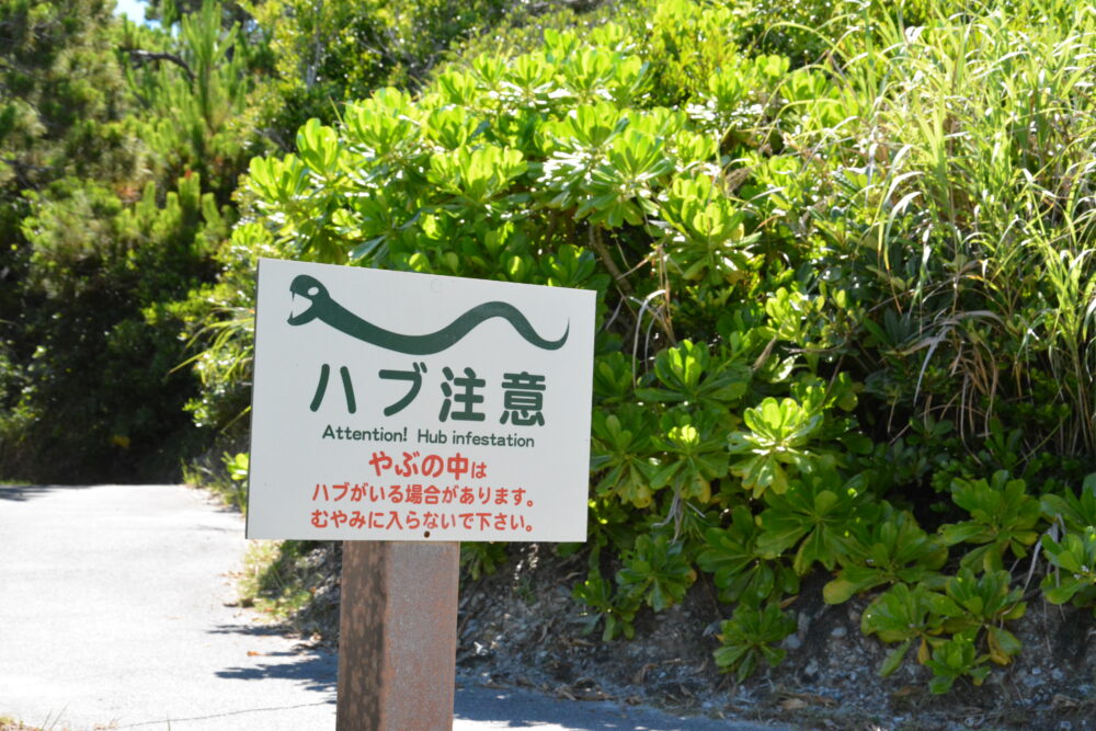 渡嘉敷島の阿波連岬のハブ注意看板