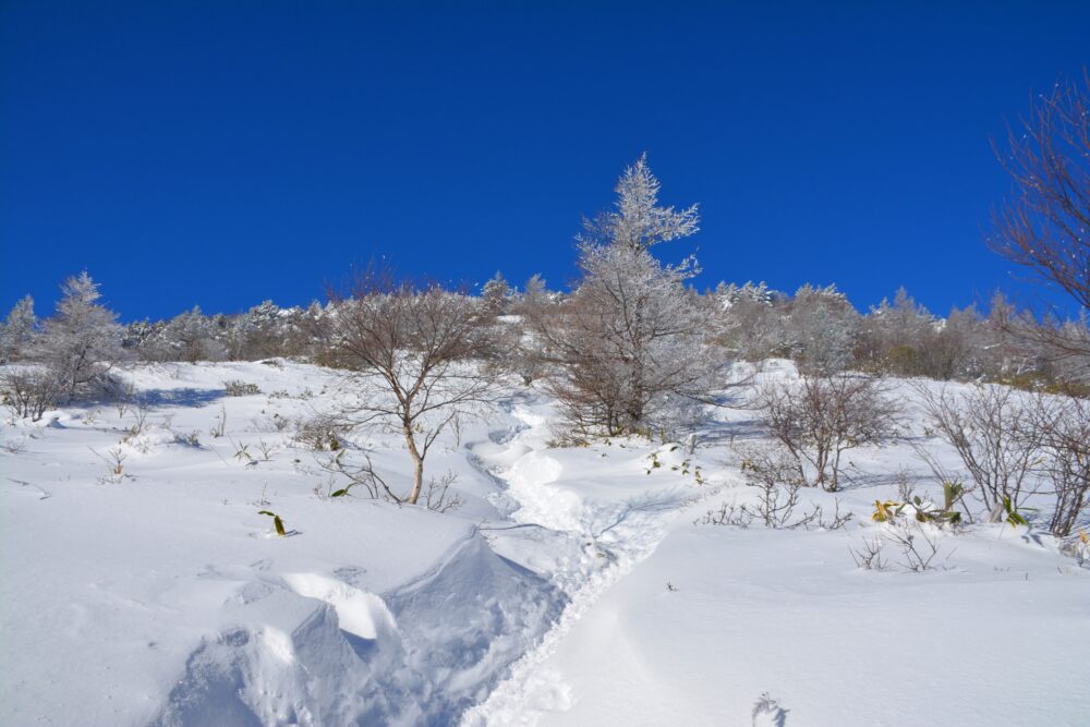 湯ノ丸山の青空と登山道（トレース）