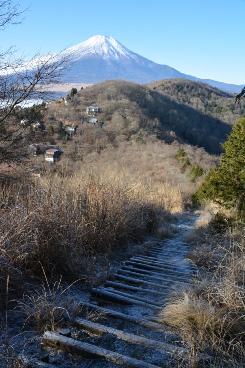 平尾山から大平山に向かう登山道から見た富士山