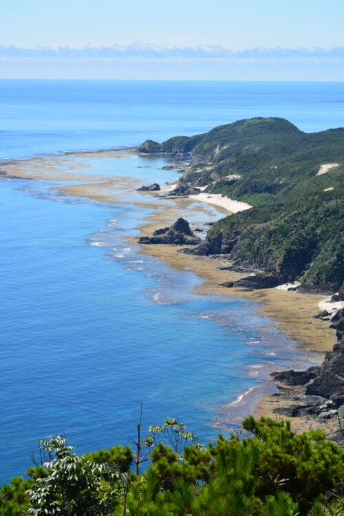 渡嘉敷島の久比里原林道から見た渡嘉敷島の海岸線